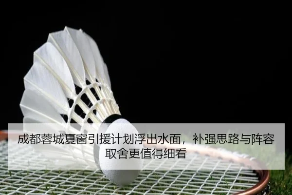 成都蓉城夏窗引援计划浮出水面，补强思路与阵容取舍更值得细看 | c7yule